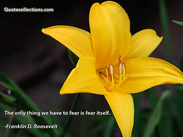 Franklin D. Roosevelt Quotes5